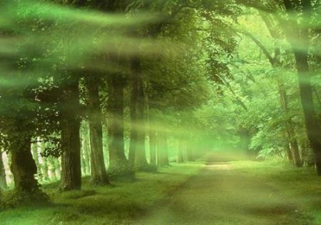 tre le vent...